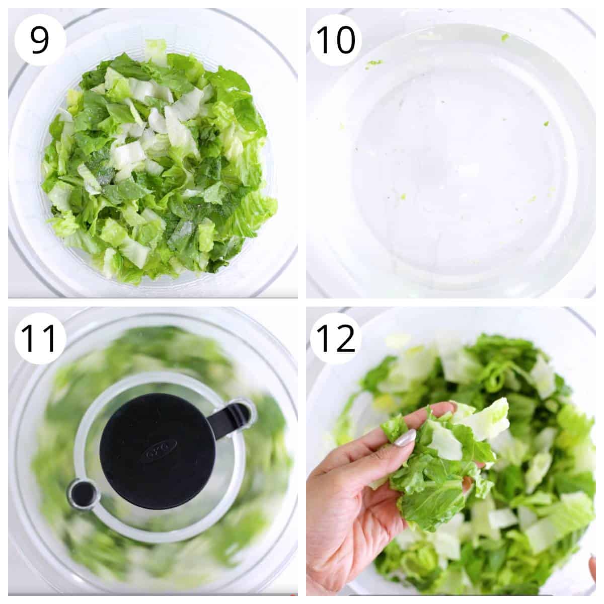 Steps for washing and drying the lettuce in salad spinner for caesar salad